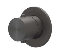 IVY Concord Élément de finition - pour mitigeur thermostatique encastré - Symmetry - rosace ronde - Acier inoxydable 316 brossé carbon black PVD 6201214