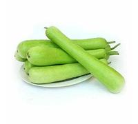Ivy Gourd (Tindora) Concombre frais écarlate 1 kg - Légumes indiens Citrouille de lierre | Idéal pour les plats de poêle, currys et cuisine traditionnelle avec autocollant Kajal (1 kg, citrouille)