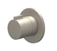 IVY Pact Partie encastrable - pour mitigeur de douche - robinet de passage - robinet d'arrêt - symétrie - rosace ronde - Nickel brossé PVD 6202593