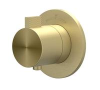 IVY TribePartie de finition - pour thermostat encastrable - symétrie - rosace ronde - inox 316 - Or mat brossé PVD 6201332