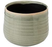 Ivyline 136329 D18 H15Como Pot à Menthe Vert