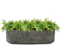 Ivyline Jardinière en Ciment Terre 10 x 32 cm