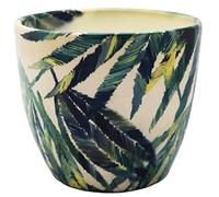 Ivyline Monza Jardinière de fougère botanique 15,5 cm