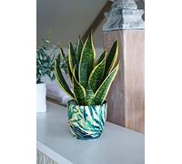 Ivyline Monza Pot de Fleurs d'intérieur en céramique Vert fougère botanique 17 cm