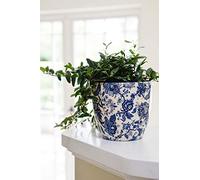 Ivyline Monza Pot de Fleurs d'intérieur Vintage Bleu Diamètre 17,5 cm Taille Unique Bleu