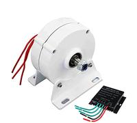 IvyLoutish Alternateur à Aimant Permanent de 3000 W à Faible Vitesse de Rotation, 12 V ou 24 V, pour éolienne Verticale ou Horizontale.