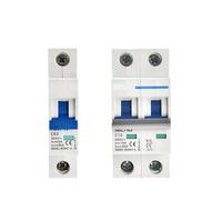 IWEBQSAP Disjoncteur Miniature NBL7-63 DC 1P 2P 300 V 600 V 1000 V 63 A 6 kA for Installation Solaire photovoltaïque, 1 pièce(20A,2P 1000VDC)