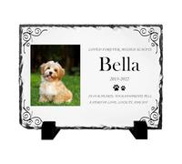 iweener Pierre commémorative blanche, plaque commémorative personnalisée pour chien avec nom et photo, cadeau souvenir pour les amoureux des animaux, fond coloré changeant pour peindre un souvenir