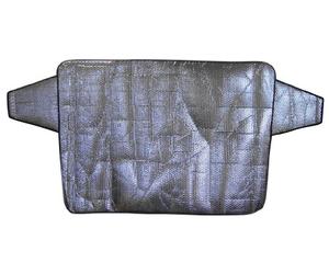 IWH 701000 Avant Pare-Brise pour Voiture