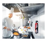 IWH REINOLD MAX Spray extincteur 'STOP FIRE', 3 x 750 ml