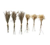 IWOWHERO Lot de 6 Bouquets de Fleurs Séchées Légers en Herbe, Décoration de Bouquet Faite Main, pour Fêtes et Activités en Plein Air Couleur Aléatoire