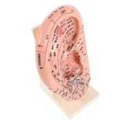 IWOWHERO Modèle D'acupuncture Éducative D'oreille 3d en Plastique Pvc 23 Cm Observation Multiangle pour Enseignement Médecine Chinoise et Salon de Beauté