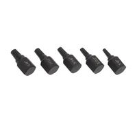 IWOWHERO Outil Extracteur de Vis et Boulons Cassés 5 Pcs en Acier Trempé Kit Multicannelures pour Extraction Vis Foirées et Boulons Endommagés Tailles 1/4 à 1/8 Pouces Usage