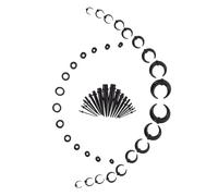 IWOWHERO Set de Écarteur Oreille Punk Acrylique et Corne de Bœuf Accessoire Léger pour Piercing Boucle Oreille Homme Femme Noir