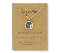 IWQSPNQP Collier Horoscope Personnalisé 2pcs Chinois Zodiac Coin Day and Night Colliers Couple d'anniversaire Amitié Bijoux Cadeau-Verseau (Noir)