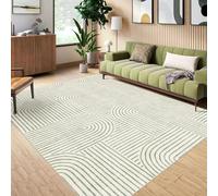 IXEHOH Tapis de Salon bohème,résistant aux Taches,Doux,intérieur,Ultra-Fin,Vert Sauge,Motif Abstrait Moderne Arc-en-Ciel pour Chambre (180 x 200 cm (70,87 x 78,74 po)