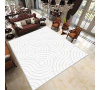 IXEHOH Tapis Lavable Blanc Style bohème pour Salon,Grand Tapis Neutre et Doux,Motif Abstrait antidérapant à Poils Courts,Tapis Moderne pour Chambre (100 x 150 cm (39,37 x 59,06 po)
