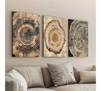IXEHOH Toile Murale Anneaux d'Arbre Abstraits 3 Pièces, Art Mural Minimaliste Tons Neutres pour Bureau, Décoration Nature Moderne pour Salon, Grande Toile Imprimée Encadrée 70x100cmx3