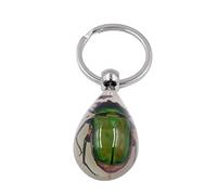 Ixkbiced Porte-clés Insecte Clair Porte-clés Insecte en résine véritable spécimen d'insecte Cadeau de fête Pendentif Cadeau d'anniversaire de Vacances pour Femmes Hommes Porte-clés Insecte Porte-clés