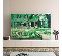 IXMLDAXD Couverture TV, Couvercle mural épais antidérapant for peinture à l'huile, idéal for la décoration intérieure(A,47in(116x67cm))