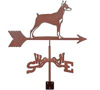 IXMLDAXD Direction du Vent, Girouette avec revêtement antirouille, Outils de Mesure, girouette, Ornement, indicateur de Direction du Vent, Piquet de Jardin, décoration Artistique