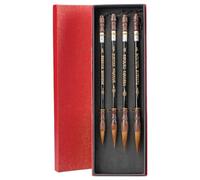 IXMLDAXD plume, Etude élémentaire de la peinture traditionnelle chinoise avec des bandes d'encre et des bandes d'encre à pigments de douze couleurs