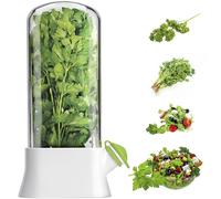 IXTIX Sauveteuse pour réfrigérateur - Côte d'herbes fraîches - Forme haute - Économiseur d'herbes - Pod coriandre - Récipient en plastique respirant - Conservateur pour persil, coriandre, menthe - 6