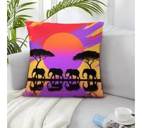 IXUEOUUXC Elephant 3D Imprimé avec Taie d'oreiller Créative 2 Taies Fille Cadeau 45x45cm