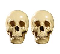 Iyalezirk 2X Modèle 1: 1 Résine Humaine Décoration Enseignement Anatomique Jaune