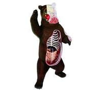 Iyalezirk Modèle D'Anatomie de l'ours Animal Vision 4D 36 Parties Détachables, Orgue de Biologie Animale, Fournitures de Classe Anatomiques, Enseignement