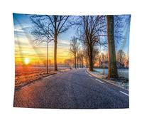 izielad Route Arbre Lever du Soleil Mur Tapisserie Art Mural pour Chambre d'enfants 150X200CM 59X78.7IN