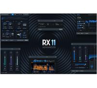 iZotope iZotope RX 11 Advanced