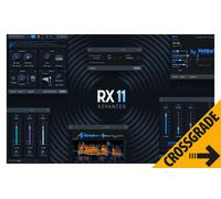 iZotope iZotope RX 11 Advanced Crossgrade