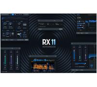 iZotope iZotope RX 11 Advanced EDU