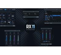 iZotope iZotope RX 11 Standard
