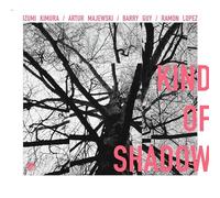 Izumi Kimura - Izumi Kimura, Artur Majewski, Barry Guy, Ramon Lopez - Kind Of Shadow