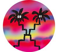 Izzy Wise - Records in the Sun