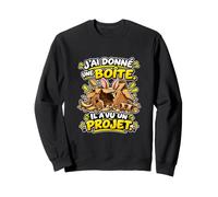 J’AI Donné Une Boîte Il A Vu Un Projet Humour Lapin Sweatshirt