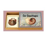 J apprends a reconnaitre - les coquillages