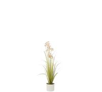 J-Line Allium en Pot Plastique Vert/Rose Clair Small