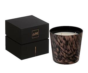 J-Line Bougie parfumée Noa - Sandalwood - Verre - Noir/Or - Small - 50H