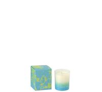 J-Line Bougie Parfumée Oasis - Spring Ivy & Neroli - Verre - Bleu/Vert - Small