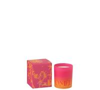 J-Line Bougie Parfumée Oasis - Summer in The Air - Verre - Orange/Rose - Large