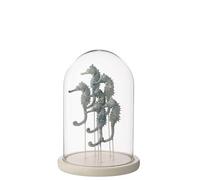 J-Line Cloche décorative Hippocampe - Verre - Blanc/Bleu - Large