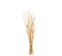 J-Line Lot De 10 Branche Fleur Séchée Doré Small