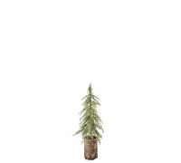 J-Line Sapin de NoÃƒ«l Socle en Bois - polyÃƒ©thylÃƒ¨ne - Vert Foncãƒ©/Naturel - Small