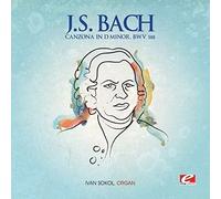 J.S. Bach - Canzona in D Minor