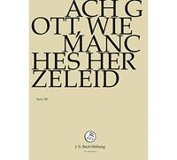J.S.Bach-Stiftung - Ach Gott,Wie Manches Herzeleid