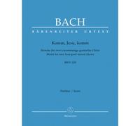 J.S. - Komm, Jesu, Komm (Bwv 229) - Choeur