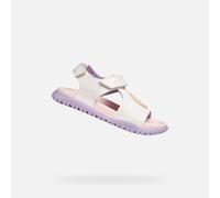 J Sandal Fusbetto Gi - 25